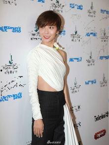 2017上海明星活动,星光熠熠的娱乐盛宴